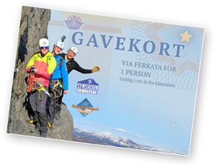 Gavekort